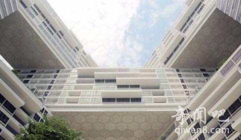 2017高考热门专业排行榜_高考热门专业排名2017_2017最热门的专业排名_www.aioppo.cn